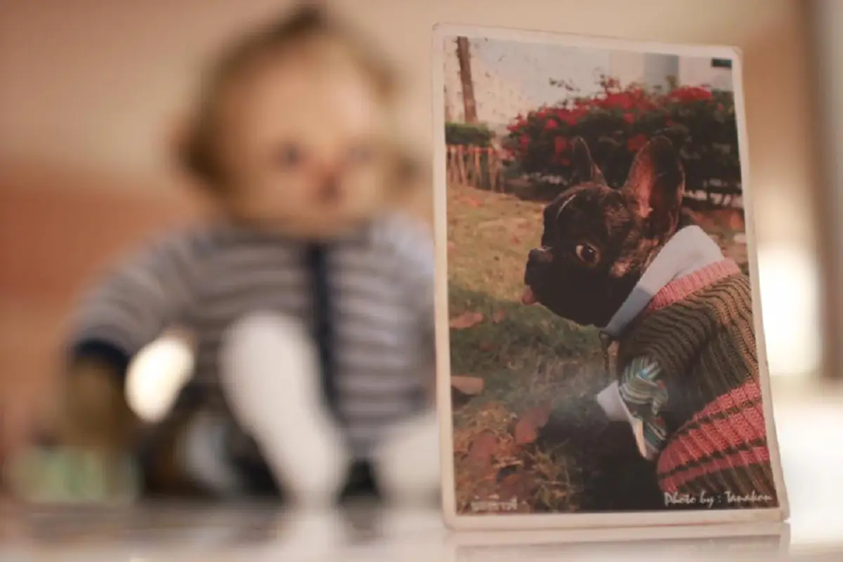 เปิดประวัติน้องข้าวจี่!!! ตามเชียร์ "มารีญา พูลเลิศลาภ" ถึง "ลาสเวกัส" นางงามต่างชาติหลงรัก จนกลายเป็นทูตของนางงามไทยไปแล้ว!?!