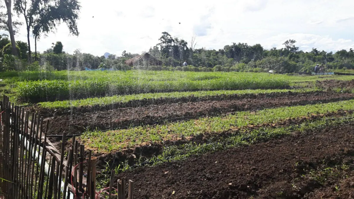 อยากรวยต้องอ่าน....เรื่องที่ดินทำการเกษตรที่ต้องรู้.....รับรองงานนี้รุ่งแน่นอน!