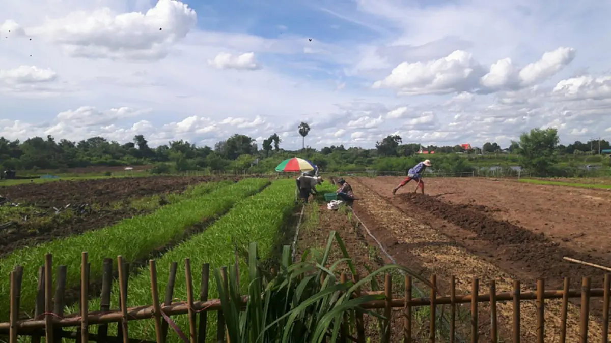 อยากรวยต้องอ่าน....เรื่องที่ดินทำการเกษตรที่ต้องรู้.....รับรองงานนี้รุ่งแน่นอน!