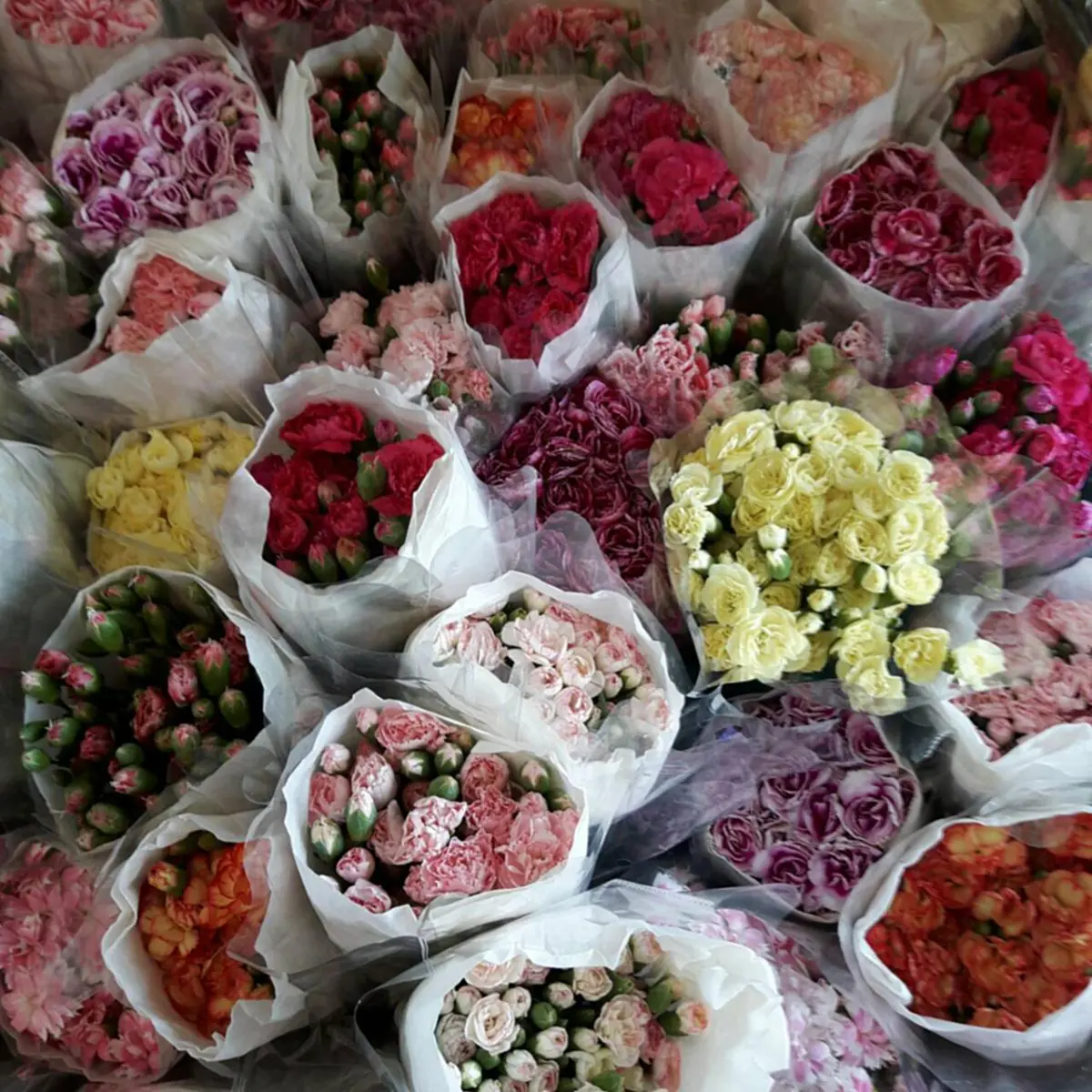 ดอกไหน....ถามใจเธอดู  เลือกให้ถูกดอก จะได้ไม่เงิบ!
