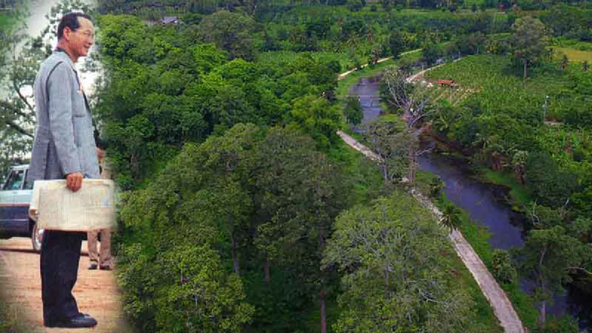 “อีก ๕๐ ปีเรามาดูกัน” พระราชดำรัสที่ทรงกล่าวถึงต้นไม้ใหญ่ของพ่อหลวง!!! ที่ทรงปลูกที่บ้าน กว่า ๕๖ ปีที่ผ่านมา 