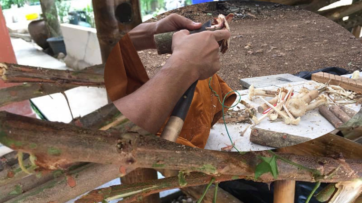 รู้จักไหม "ไม้เจีย" นิยมถวายตอนเข้าพรรษา ของดีมีประโยชน์ที่กำลังสูญหายไป ทำเองได้ง่ายๆ หลวงปู่มั่น หลวงตามหาบัว ก็เคยใช้