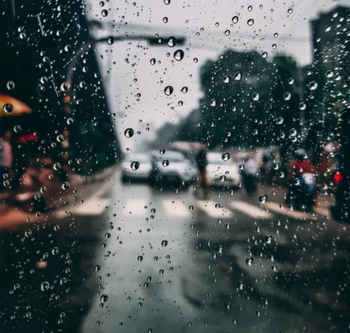 กรมอุตุฯ เตือน ต้นเดือน มิ.ย. ฝนตกหนัก หลายพื้นที่