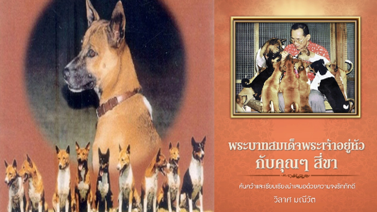 ชื่อที่ทรงพระราชทานแก่ตระกูลสุวรรณชาด เพื่อให้แก่ลูกคุณทองแดงกับคุณทองแท้ มาจากอัจฉริยภาพทางภาษาของในหลวงรัชกาลที่ ๙กับขนมไทย