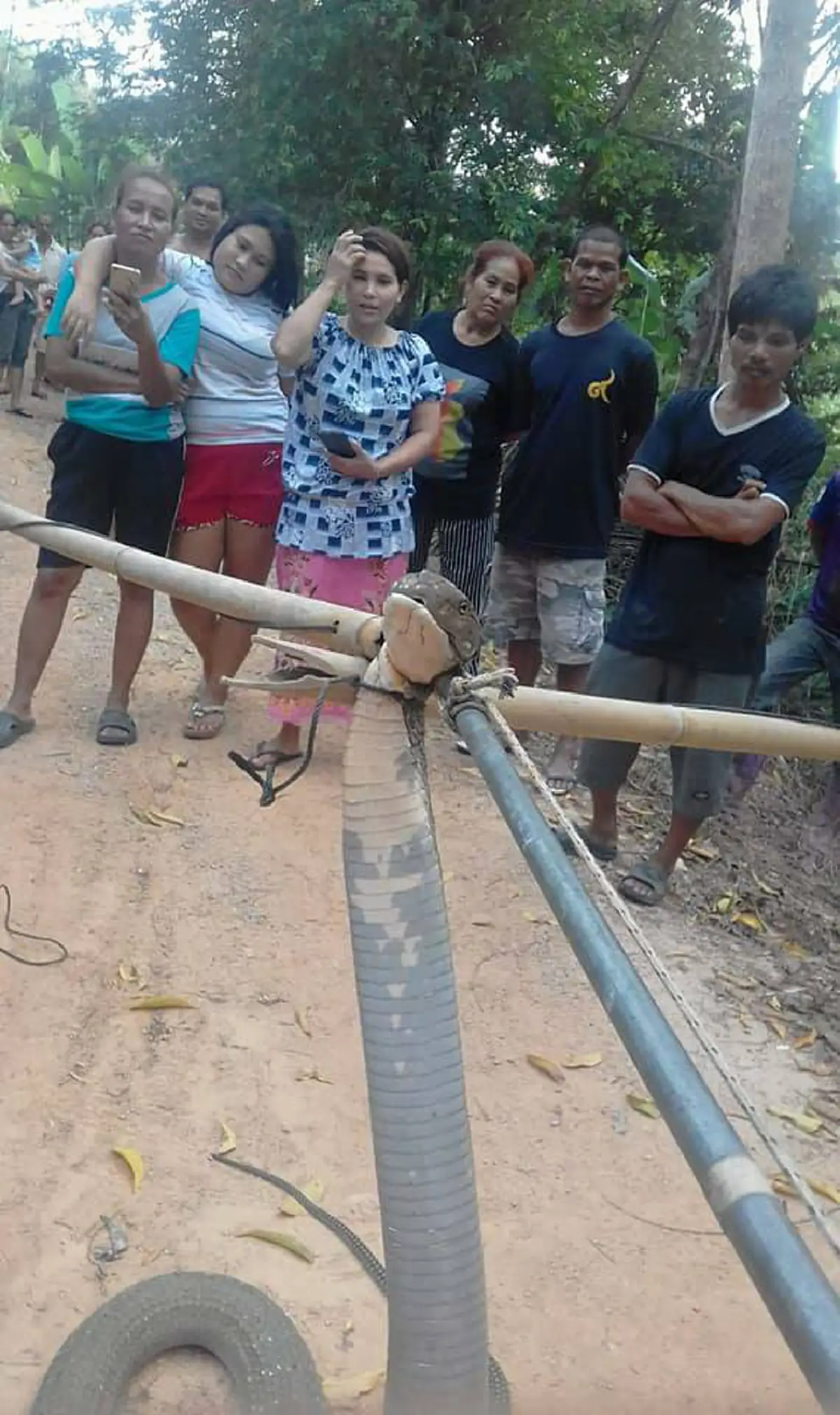 เตรียมรวยกันถ้วนหน้า!!! คอหวยตีเลขเด็ด 3 ตัวตรงๆ หลังงูจงอางยักษ์เลื้อยเข้าบ้านหนุ่มจ.ตรัง งวดนี้มีโชครับต้นปี แห่ซื้อลอตเตอรี่เกลี้ยงแผง