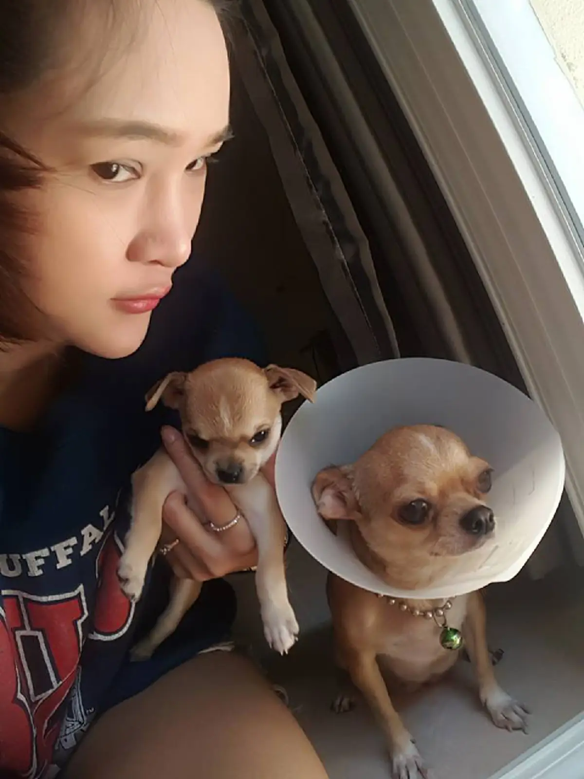 ดังเป็นพลุแตกข้ามคืน!! ตูบน้อยหน้าตาเอาเรื่อง จนเจ้าของต้องขึ้นป้ายเตือน "ระวังหมาดุ!" แต่ส่องขนาดตัวแล้ว..ฮาก๊ากทั้งโซเชียล!?! (มีภาพ)