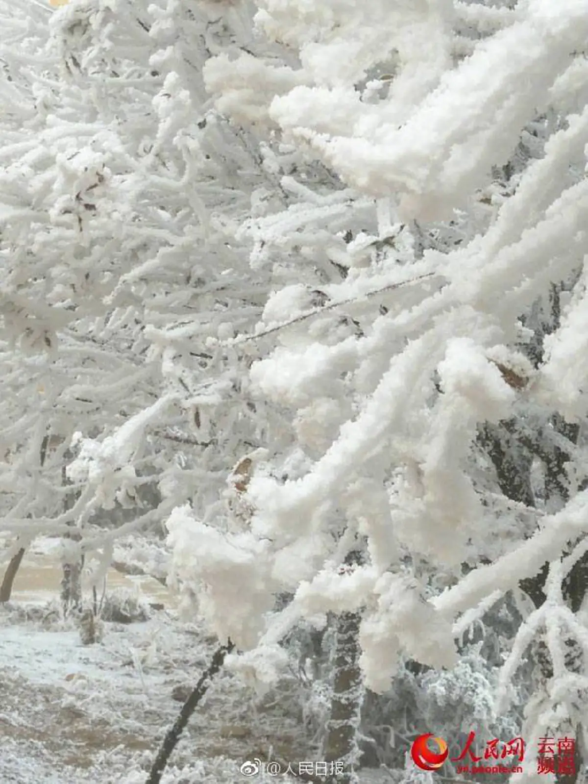 ให้ภาพมันเล่าเรื่อง !! "เด็กชาย" หัวขาวโพลนเต็มไปด้วย"หิมะ" ทำเอา"เพื่อน"หัวเราะกันทั้งห้อง! แต่กลับน้ำตาไหลทั้งโซเชียล เมื่อรู้ความจริง ??