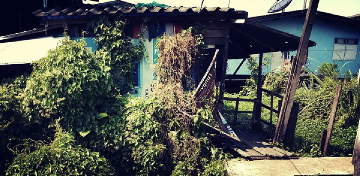 เวลาของพ่อเหลือน้อยลงเรื่อยๆ!!! ชายชราป่วยอัมพาต อาศัยเดียวดายในบ้านไม้เก่าๆ  เฝ้ารอลูกชายหายหน้าไปนาน เศร้าหนักยกหูโทรหาลูก..กลับไม่ใยดี