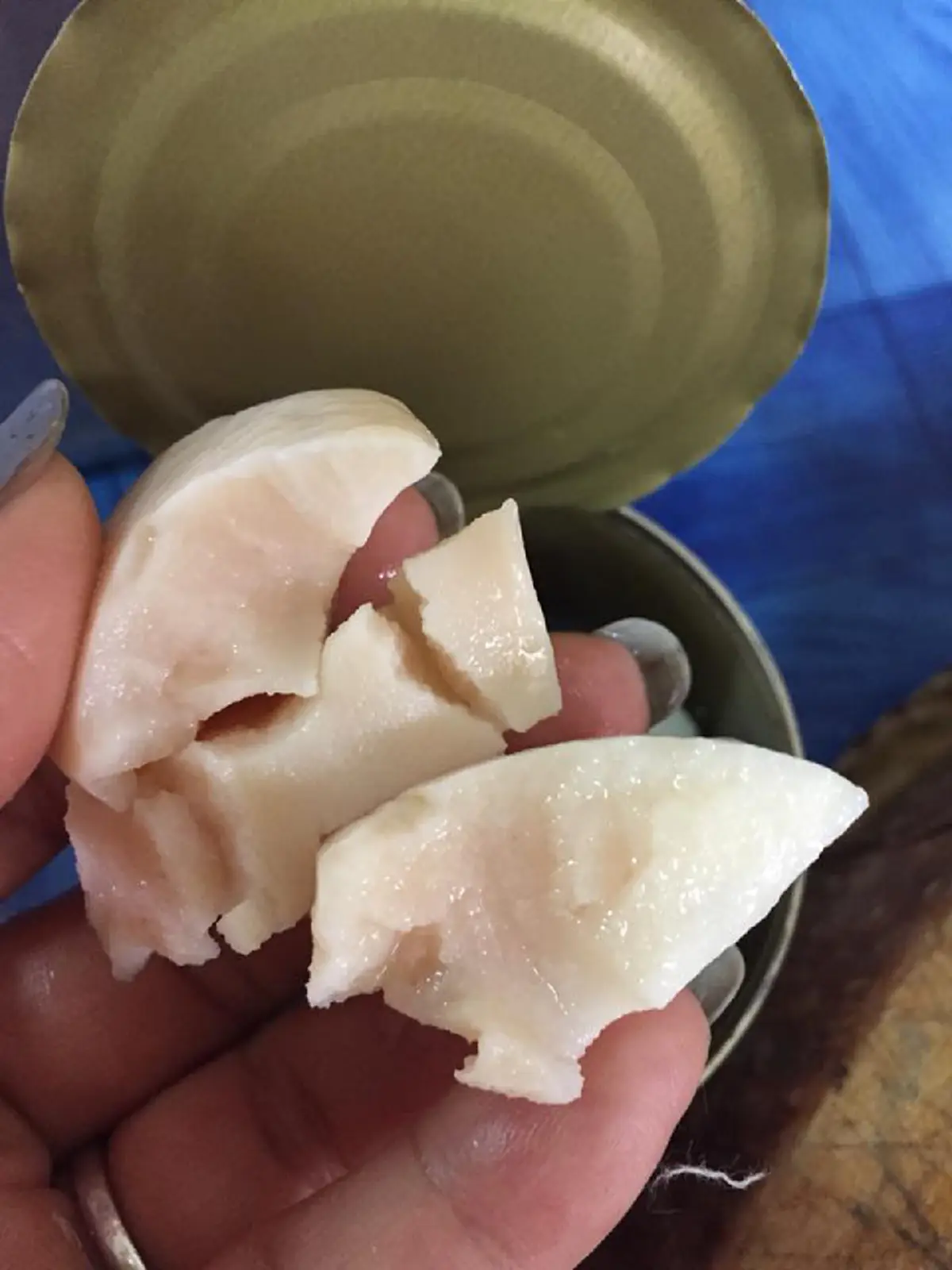 หากินบนความทุกข์ของคนอื่น!! แชร์เตือนภัย "เป๋าฮื้อปลอม" ระบาดหนัก ในตลาดชื่อดัง เตือนผู้ซื้อ..อย่าเห็นแก่ของถูก!! (ชมคลิป)