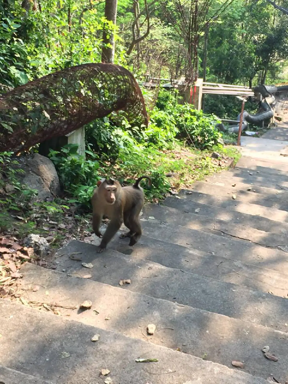 สถานที่ทำบุญแห่งใหม่คล้ายเขาคิชกุฏ! "วัดเขาเจริญสุข" วัดสวยที่ตั้งอยู่บนเขาใน จ.ฉะเชิงเทรา กราบไหว้สิ่งศักดิ์สิทธิ์พร้อมชมธรรมชาติที่สวยงาม