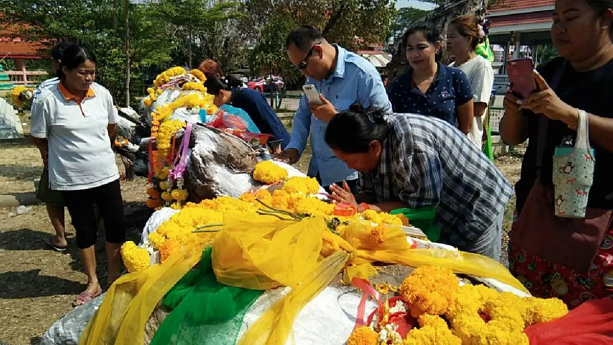 เฮกันลั่น แม่ตะเคียนให้โชคเต็มๆ!! หลังจากแสดงอิทธิฤทธิ์ลอยทวนน้ำมาติดหน้าวัดโพธิ์บ้านอ้อย ชาวเน็ตเสี่ยงโชคตาม ถูกรางวัลเลขท้ายเต็มๆ! (คลิป)