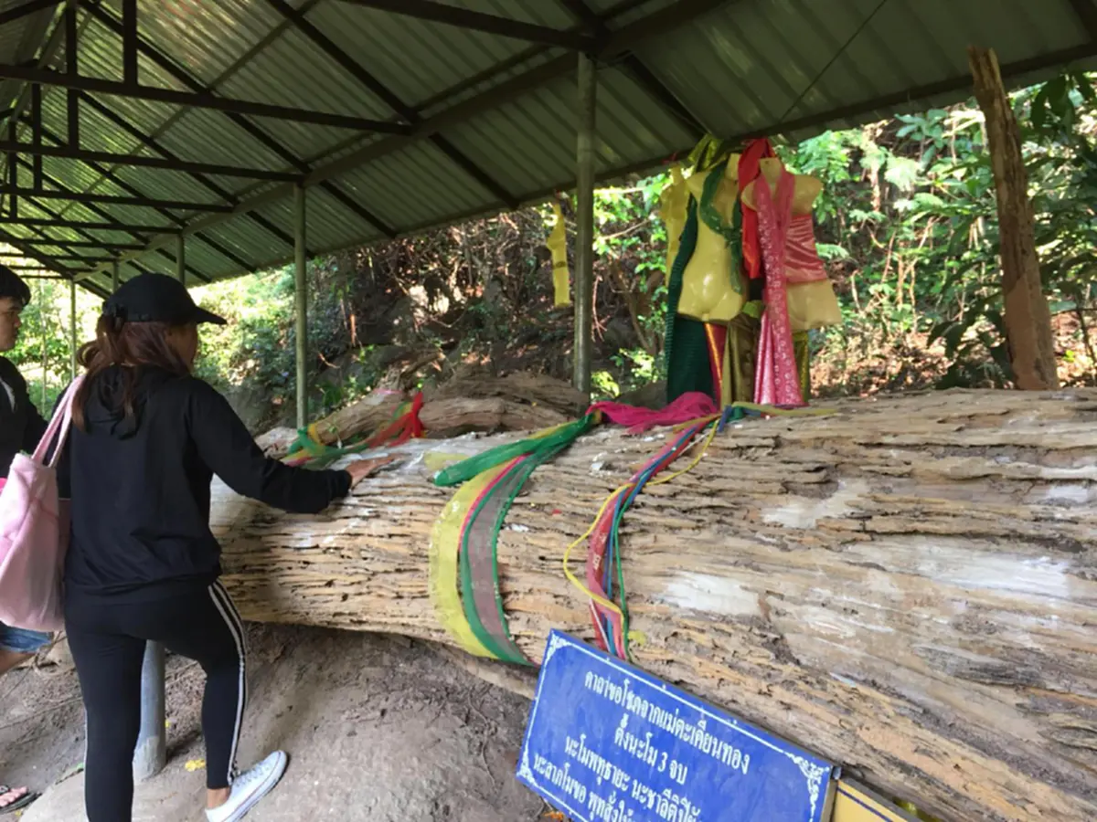 สถานที่ทำบุญแห่งใหม่คล้ายเขาคิชกุฏ! "วัดเขาเจริญสุข" วัดสวยที่ตั้งอยู่บนเขาใน จ.ฉะเชิงเทรา กราบไหว้สิ่งศักดิ์สิทธิ์พร้อมชมธรรมชาติที่สวยงาม