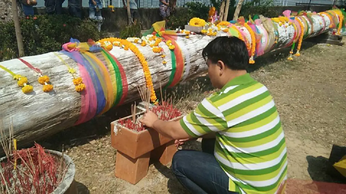 เฮกันลั่น แม่ตะเคียนให้โชคเต็มๆ!! หลังจากแสดงอิทธิฤทธิ์ลอยทวนน้ำมาติดหน้าวัดโพธิ์บ้านอ้อย ชาวเน็ตเสี่ยงโชคตาม ถูกรางวัลเลขท้ายเต็มๆ! (คลิป)