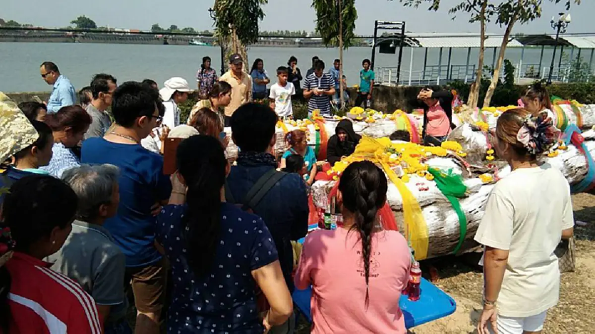 เฮกันลั่น แม่ตะเคียนให้โชคเต็มๆ!! หลังจากแสดงอิทธิฤทธิ์ลอยทวนน้ำมาติดหน้าวัดโพธิ์บ้านอ้อย ชาวเน็ตเสี่ยงโชคตาม ถูกรางวัลเลขท้ายเต็มๆ! (คลิป)