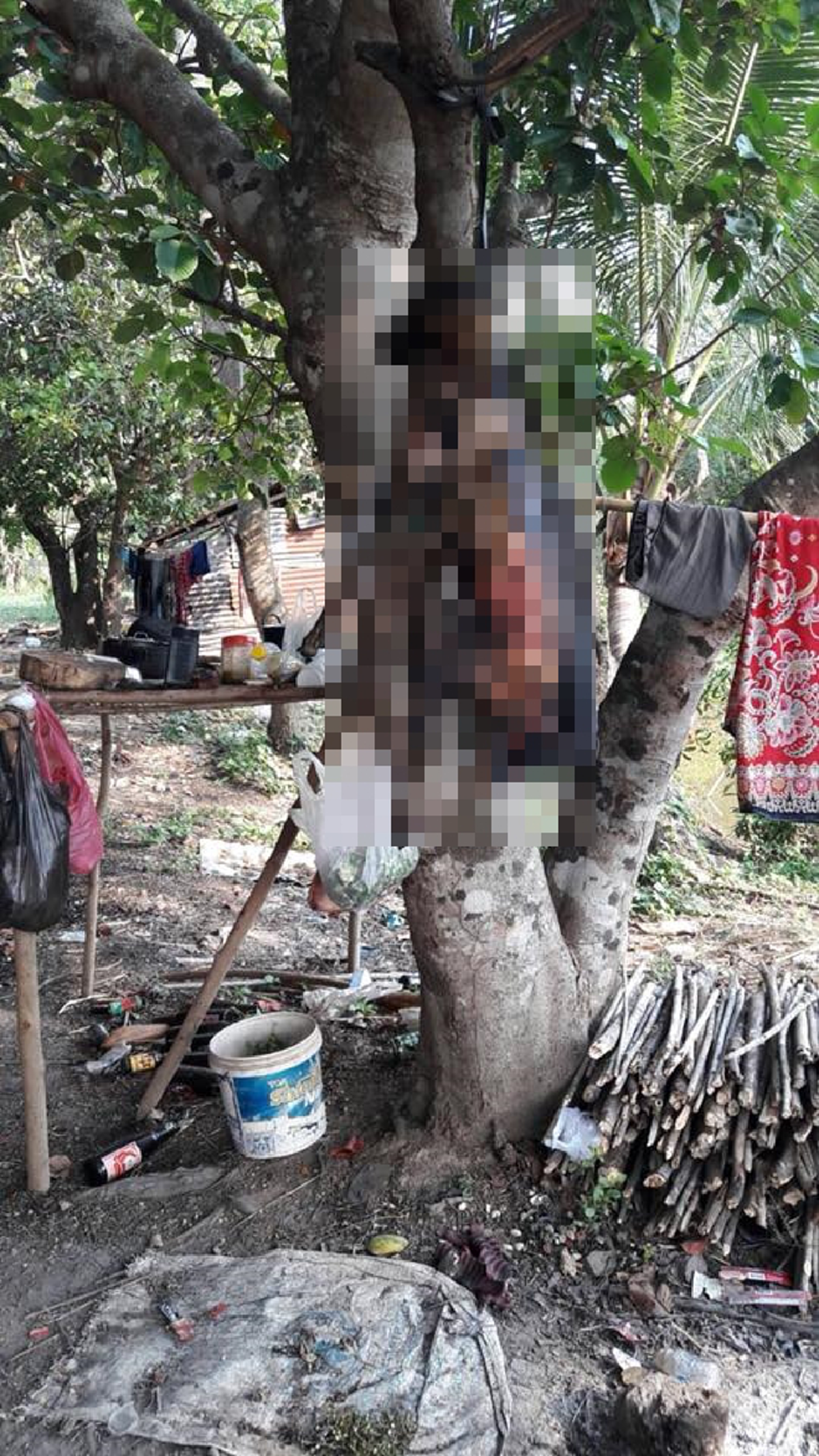 "เจ้าศรเพชร"หมาสุดรักหายออกจากบ้าน เจ้าของตระเวนตามหาโชคดีเจอ..แต่ผงะในแคมป์เขมรพบซุปหัวสุนัข อีกตัวเป็นซากถูกเผา