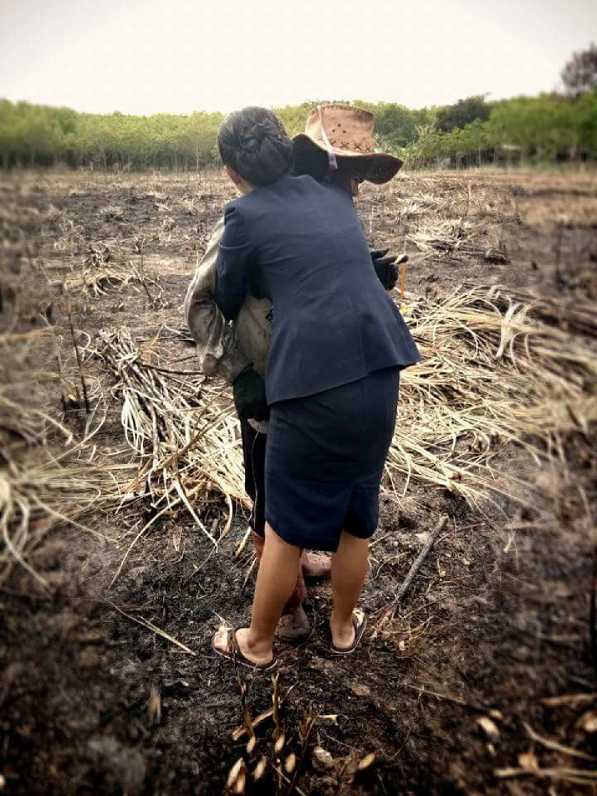 แค่นี้ก็ชื่นใจแล้ว!! สาวคว้าใบประกาศเรียนจบ ก้มกราบแม่กลางไร่อ้อย งานนี้มีน้ำตาซึม วันสำคัญของลูก..แต่แม่ไปบ่ได้อีหล่า!? (มีคลิป)