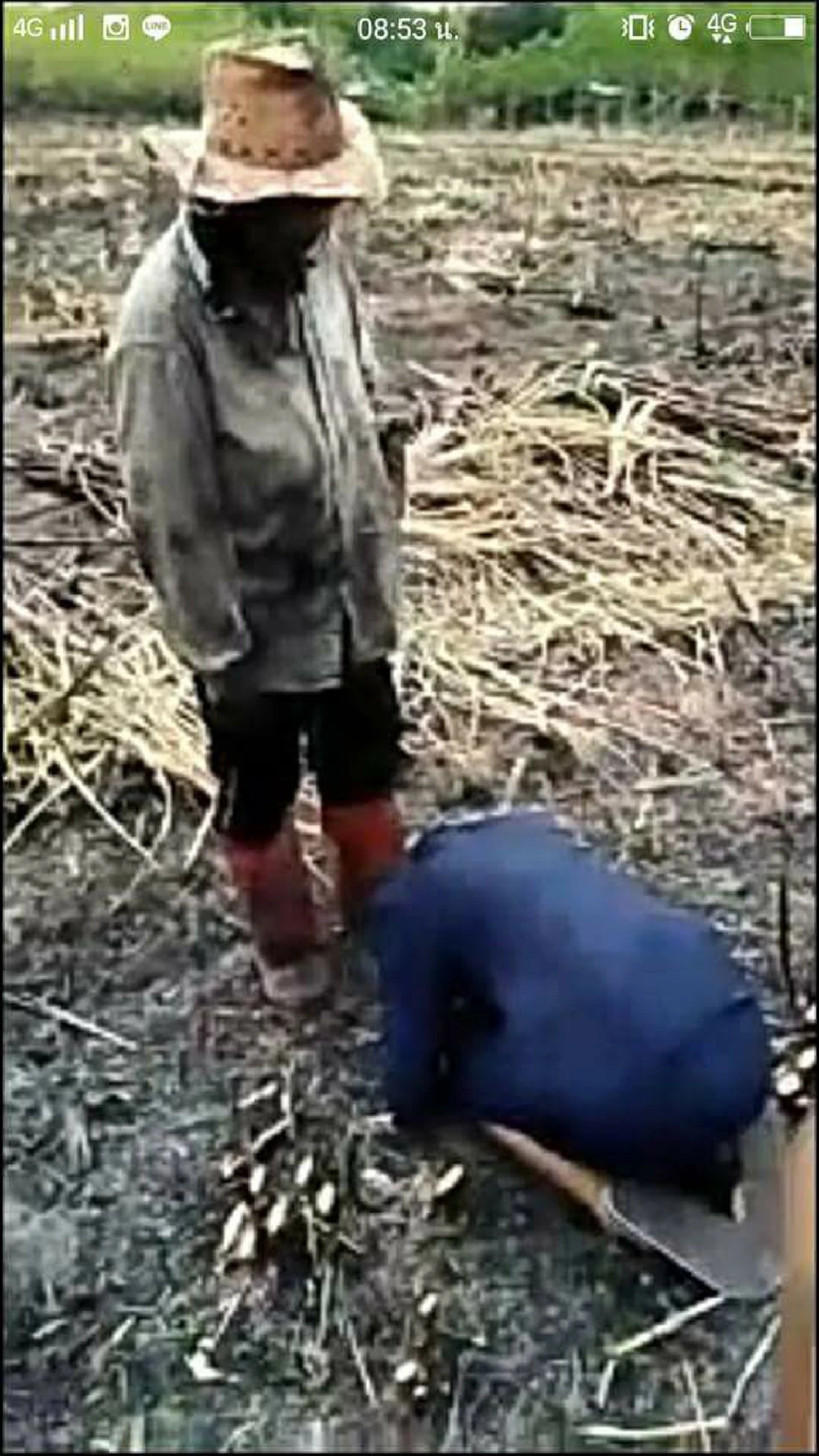 แค่นี้ก็ชื่นใจแล้ว!! สาวคว้าใบประกาศเรียนจบ ก้มกราบแม่กลางไร่อ้อย งานนี้มีน้ำตาซึม วันสำคัญของลูก..แต่แม่ไปบ่ได้อีหล่า!? (มีคลิป)