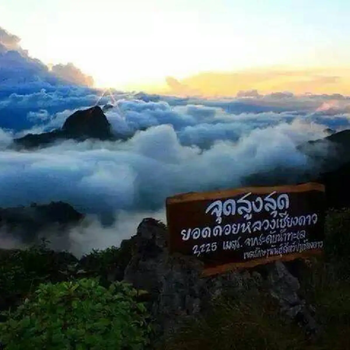 ประกาศเตือน!! จากกรมอุตุฯ พื้นที่ดังต่อไปนี้.. ยังเกิดฝนตกหนัก ประกอบกับมีอุณหภูมิสูงขึ้น 1-2 องศาเซลเซียสกับมีหมอกในตอนเช้า แต่ยังคงมีอากาศ