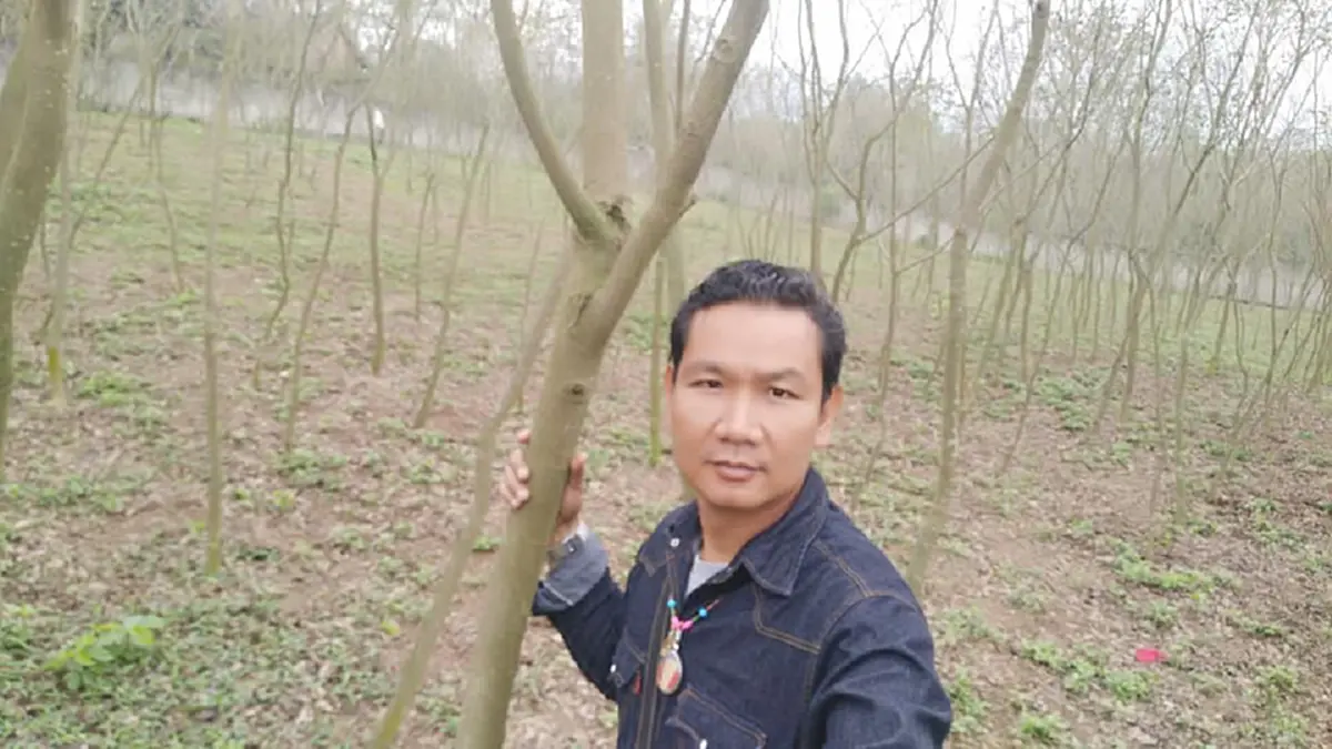 ชี้ทางรวย !! "หนุ่ม"ปลูก "ต้นพะยูงไหหลำ" ใช้เวลา 4-5ปี ก็ขายได้ราคาสูง แพงหูฉี่! ใครมีที่ทาง หามาปลูกด่วน งานนี้รวยเละ !! (รายละเอียด)