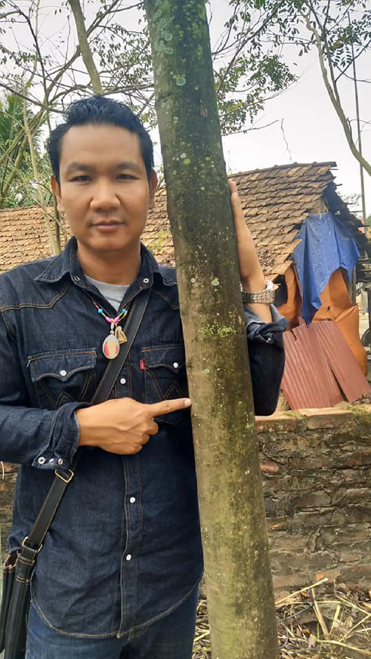 ชี้ทางรวย !! "หนุ่ม"ปลูก "ต้นพะยูงไหหลำ" ใช้เวลา 4-5ปี ก็ขายได้ราคาสูง แพงหูฉี่! ใครมีที่ทาง หามาปลูกด่วน งานนี้รวยเละ !! (รายละเอียด)