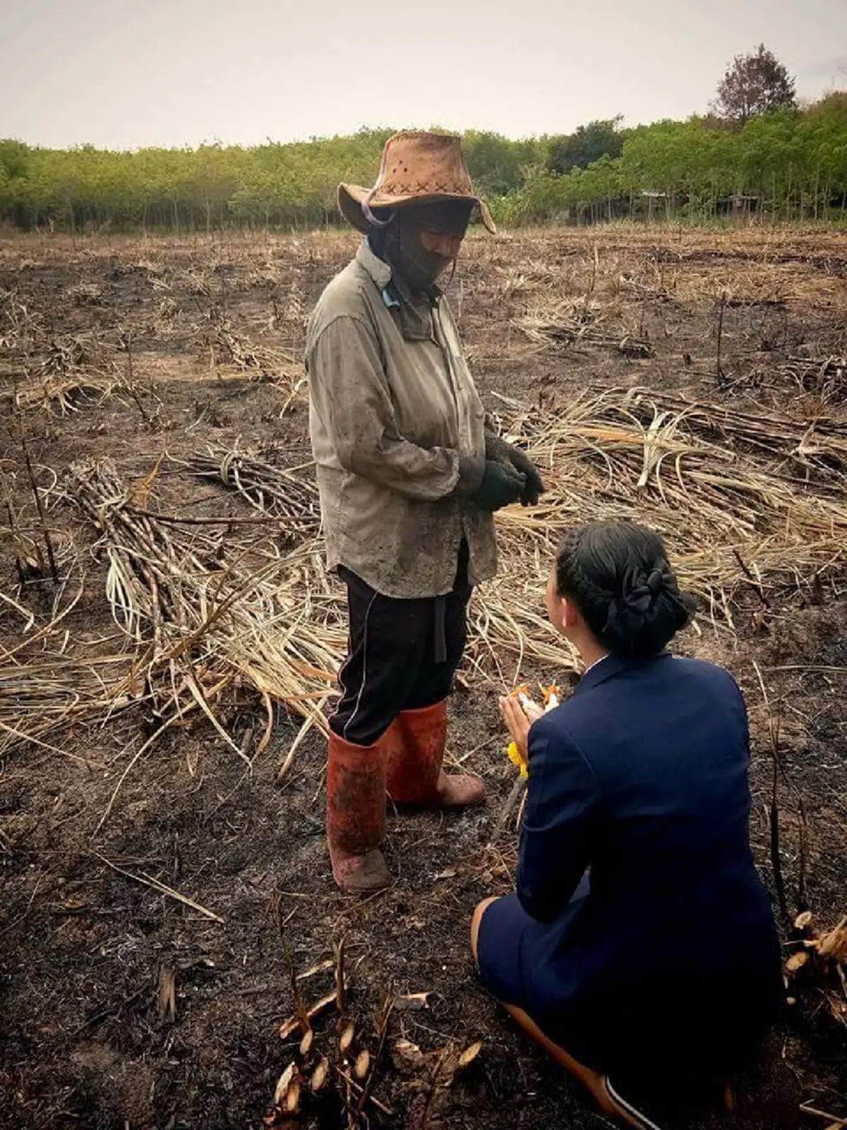 แค่นี้ก็ชื่นใจแล้ว!! สาวคว้าใบประกาศเรียนจบ ก้มกราบแม่กลางไร่อ้อย งานนี้มีน้ำตาซึม วันสำคัญของลูก..แต่แม่ไปบ่ได้อีหล่า!? (มีคลิป)