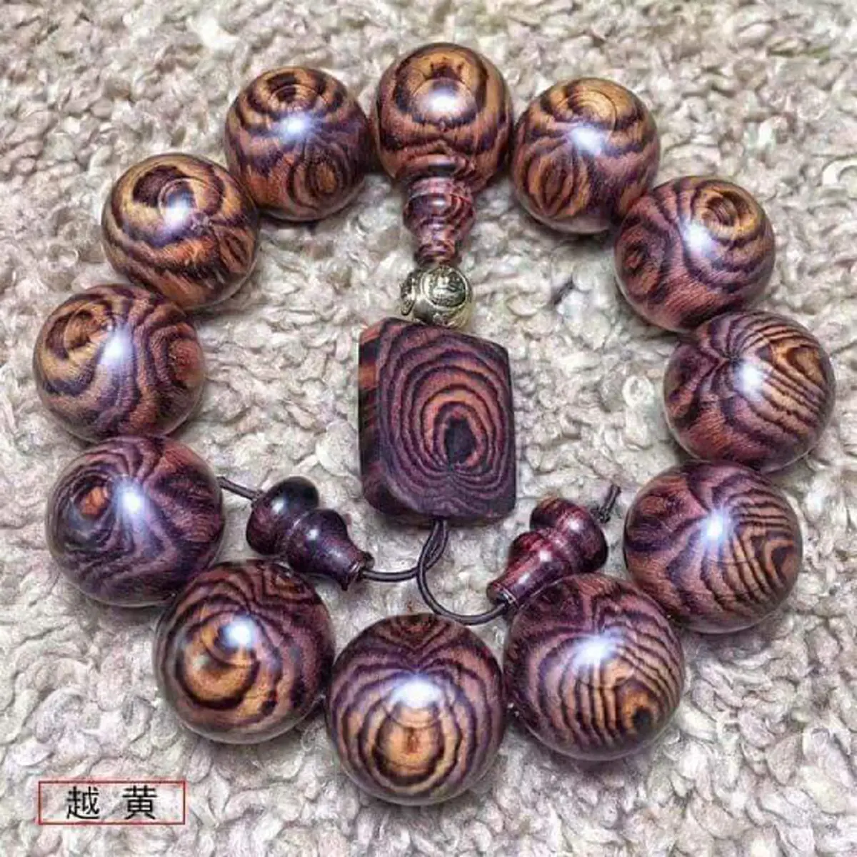 ชี้ทางรวย !! "หนุ่ม"ปลูก "ต้นพะยูงไหหลำ" ใช้เวลา 4-5ปี ก็ขายได้ราคาสูง แพงหูฉี่! ใครมีที่ทาง หามาปลูกด่วน งานนี้รวยเละ !! (รายละเอียด)