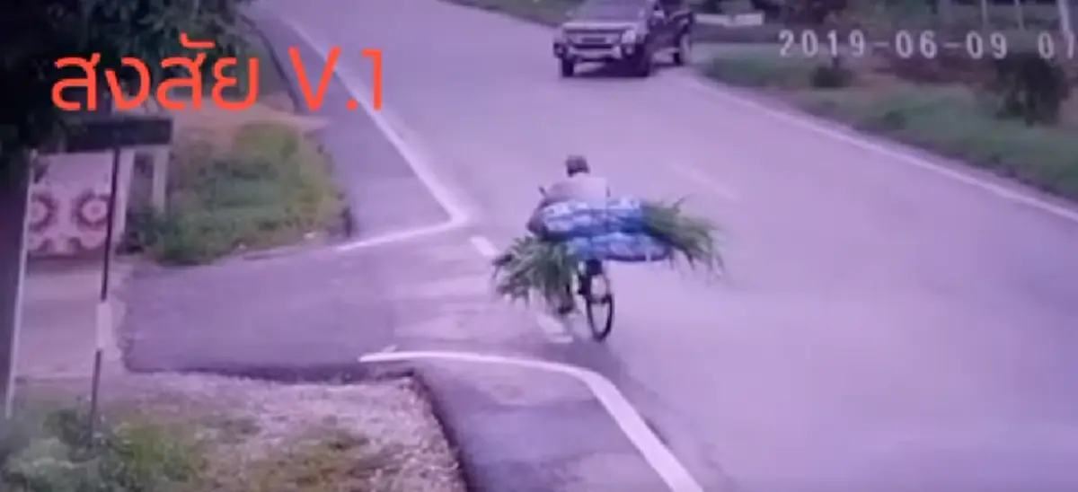 ลุงขี่จักรยาน บรรทุกหญ้าไปให้วัวกิน จู่ๆรถล้ม (คลิป)