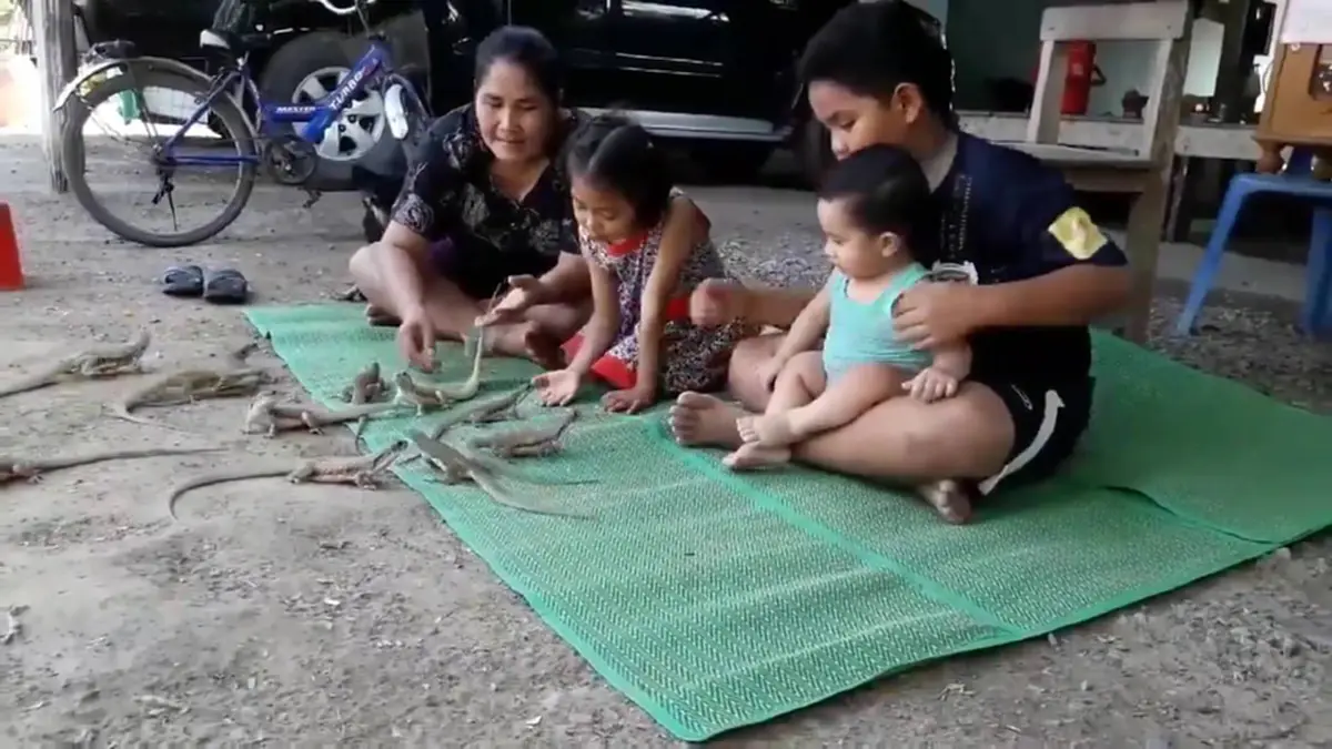 ลูกฉันรักสัตว์!! เห็นแล้วร้องว้าว สาวเลี้ยงลูกให้เล่นกับสัตว์หน้าตาประหลาด มองเข้าไปใกล้ๆ ถึงกับอุทานนี่มันสัตว์หายากนี่หน่า (คลิป)