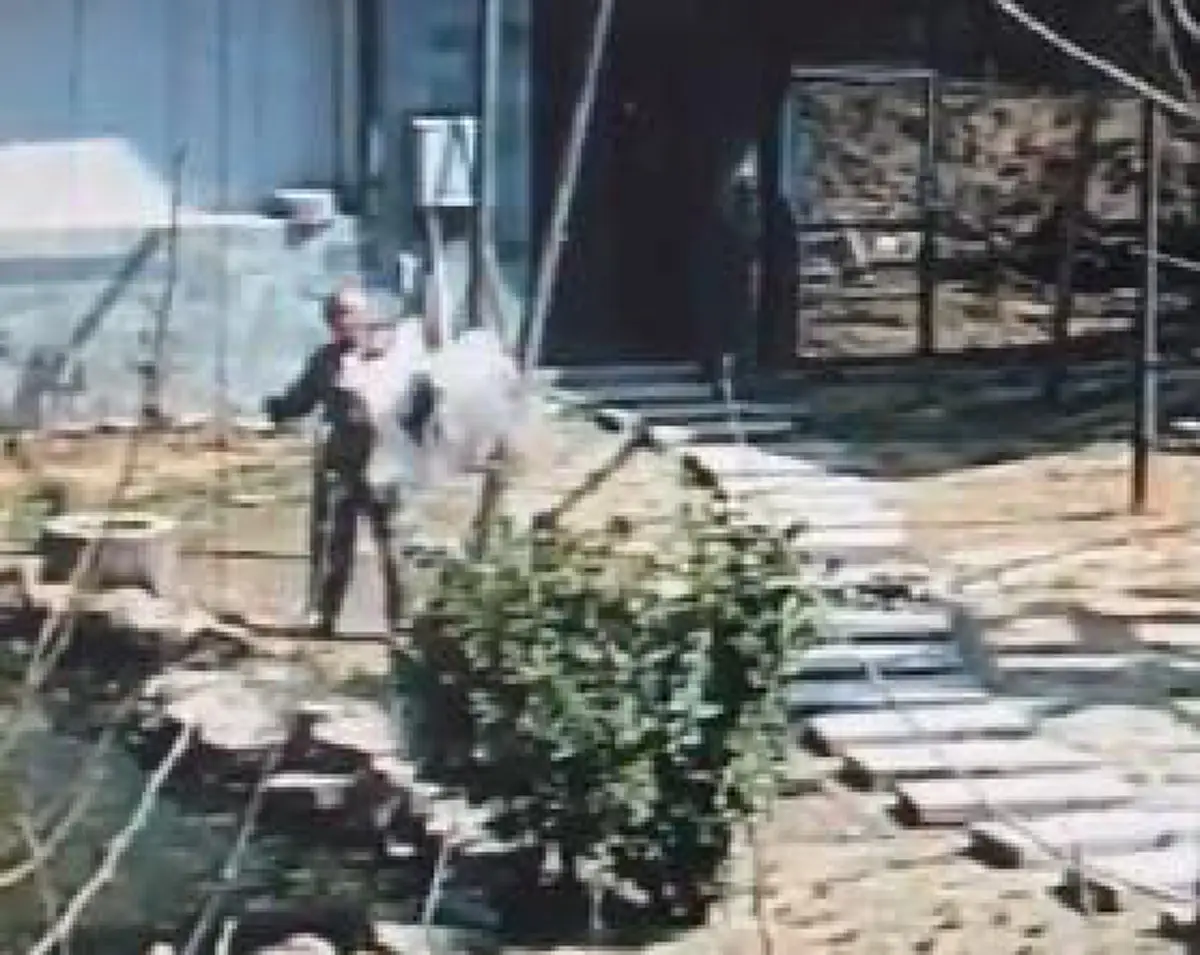 ชาวเน็ต ฉุนหนัก จนท.สวนสัตว์จีน "คว้าแท่งไม้ฟาดนกกระเรียนมงกุฎแดง" ซึ่งเป็นสัตว์ป่าคุ้มครองระดับสูงสุดของชาติ!! (ชมคลิป)