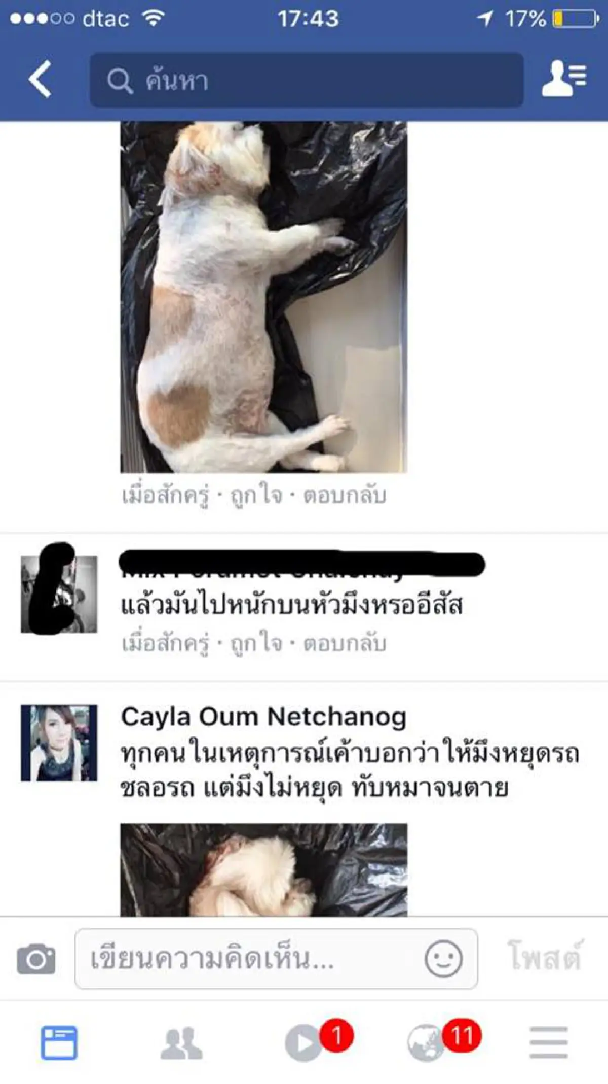 เจ้าของหมาร้องไห้แทบขาดใจ หลังน้องหมาโดนเหยียบจนตาย คนขับหนีหาย พอเจ้าของติดต่อกลับโดนด่าด้วยคำหยาบแบบสุดๆ คำเดียวที่อยากได้ยินคือขอโทษ