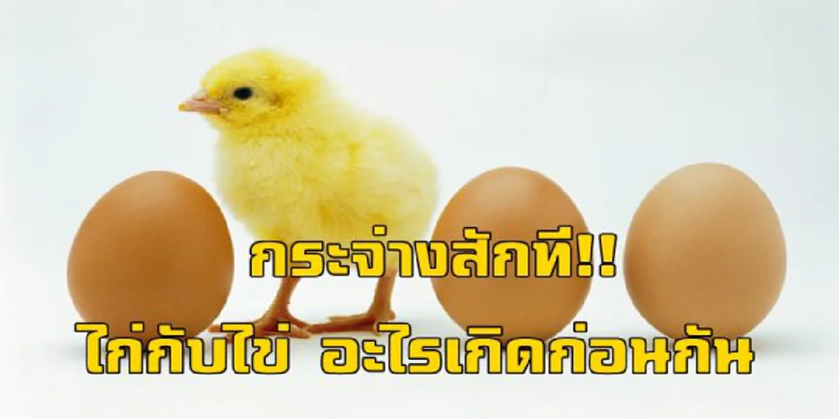 เฉลยจร้า ปัญหาโลกแตก ระหว่างไก่กับไข่อะไรเกิดก่อนกัน