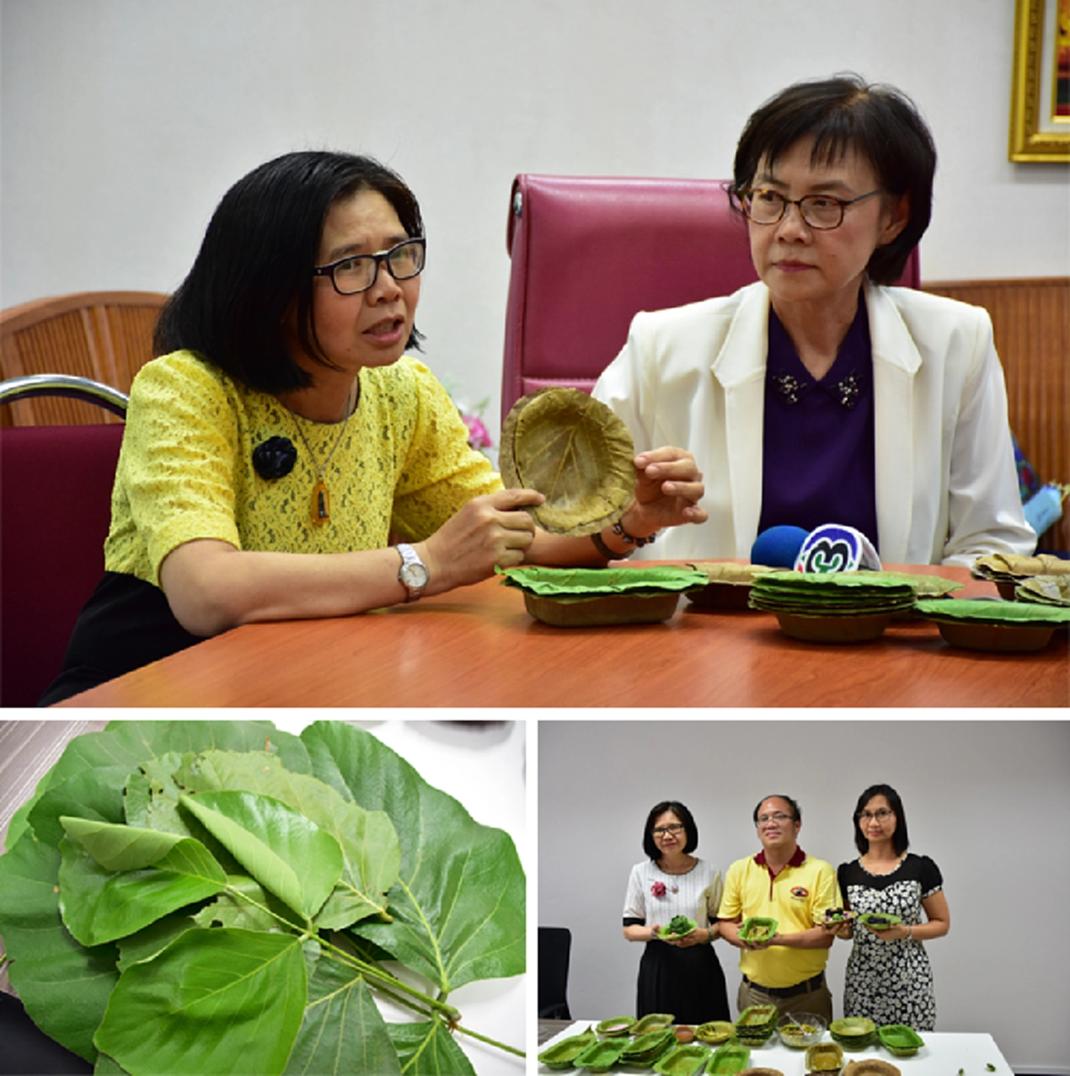 สุดยอด!! ม.นเรศวรทำ"ภาชนะจากใบไม้" ทดแทนโฟมดีต่อสุขภาพแถมช่วยลดโลกร้อน!! เจ้าของงานวิจัย เผย!ตามรอยแนวคิดปรัชญาเศรษฐกิจพอเพียงของในหลวงร.๙