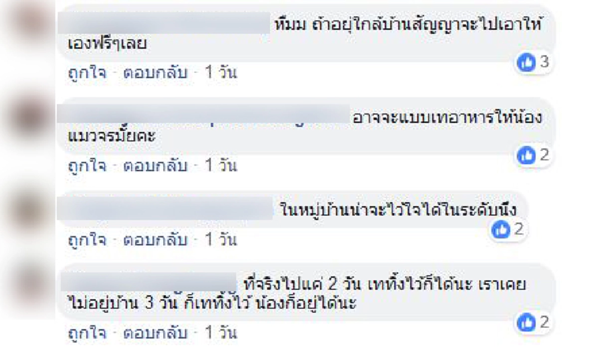 ความเห็นชาวเน็ต