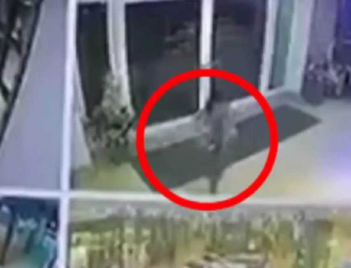 หวีดร้องเสียขวัญ อาจารย์ม.ดังถูกตะขาบยักษ์กัดเป้ากลางห้างฯ โวยไม่ใช่เรื่องเล็กๆ!