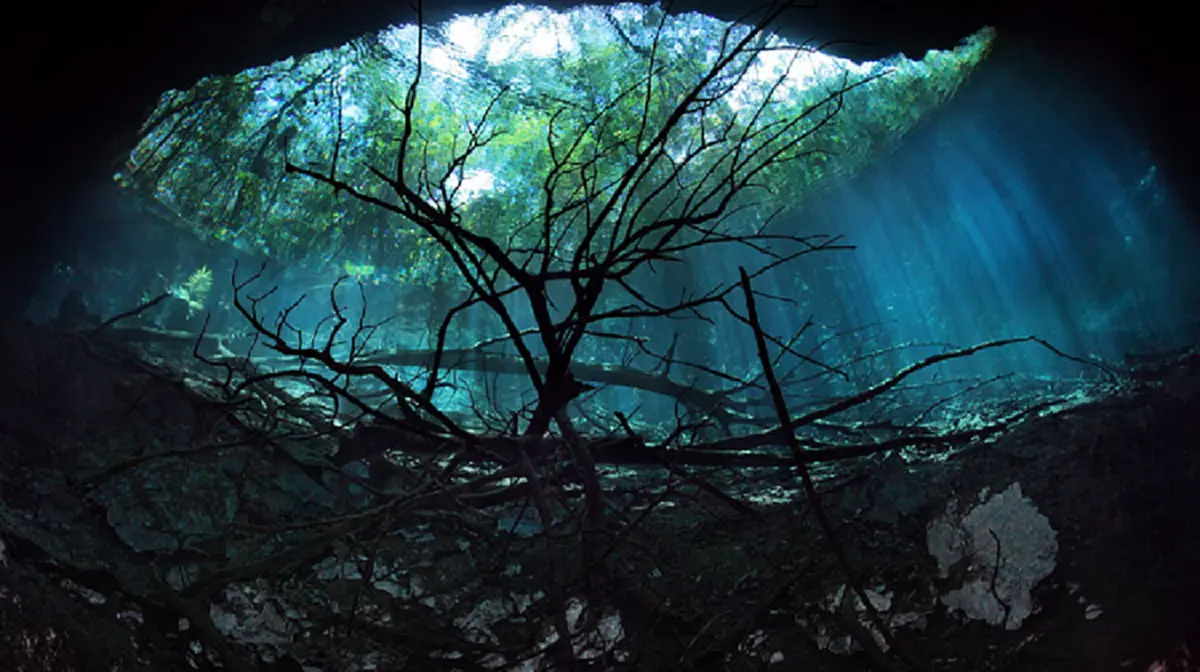 มหัศจรรย์ ! แม่น้ำสุดประหลาด แม่น้ำที่ซ่อนอยู่ในน้ำอีกที มันเป็นอย่างไรไปชมกัน (คลิป)