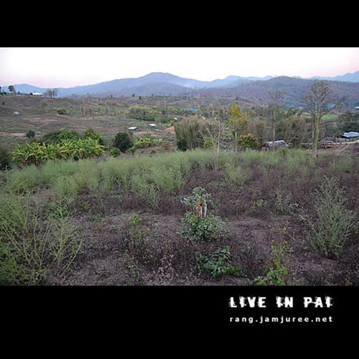 ไอเดียโคตรบรรเจิด!!สามคนพี่น้อง ช่วยกันสร้างกระท่อมไม้ไผ่ไว้อยู่เองหลังเล็กๆ แต่แข็งแรง อยู่ได้ถาวร..พอได้เห็นข้างในแทบตาค้าง มันสุดยอดจริงๆ