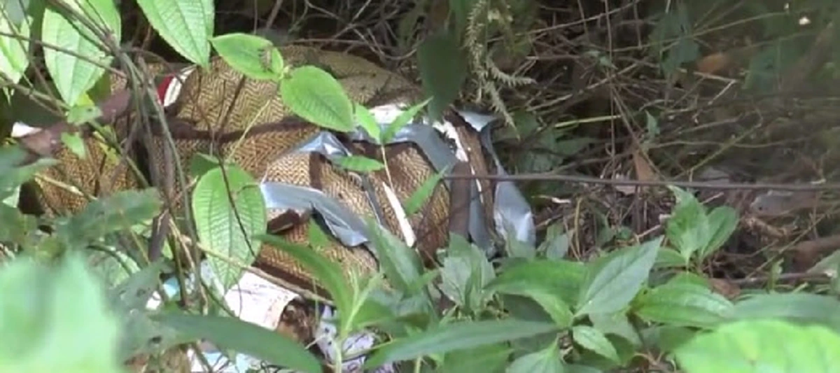 หนีความผิด!! แฟนหนุ่มเยอรมัน ใช้คัตเตอร์ ปาดคอตัวเอง หลังถูกตำรวจตามจับ กรณีฆ่าสาวไทยโยนเหวภูเก็ต