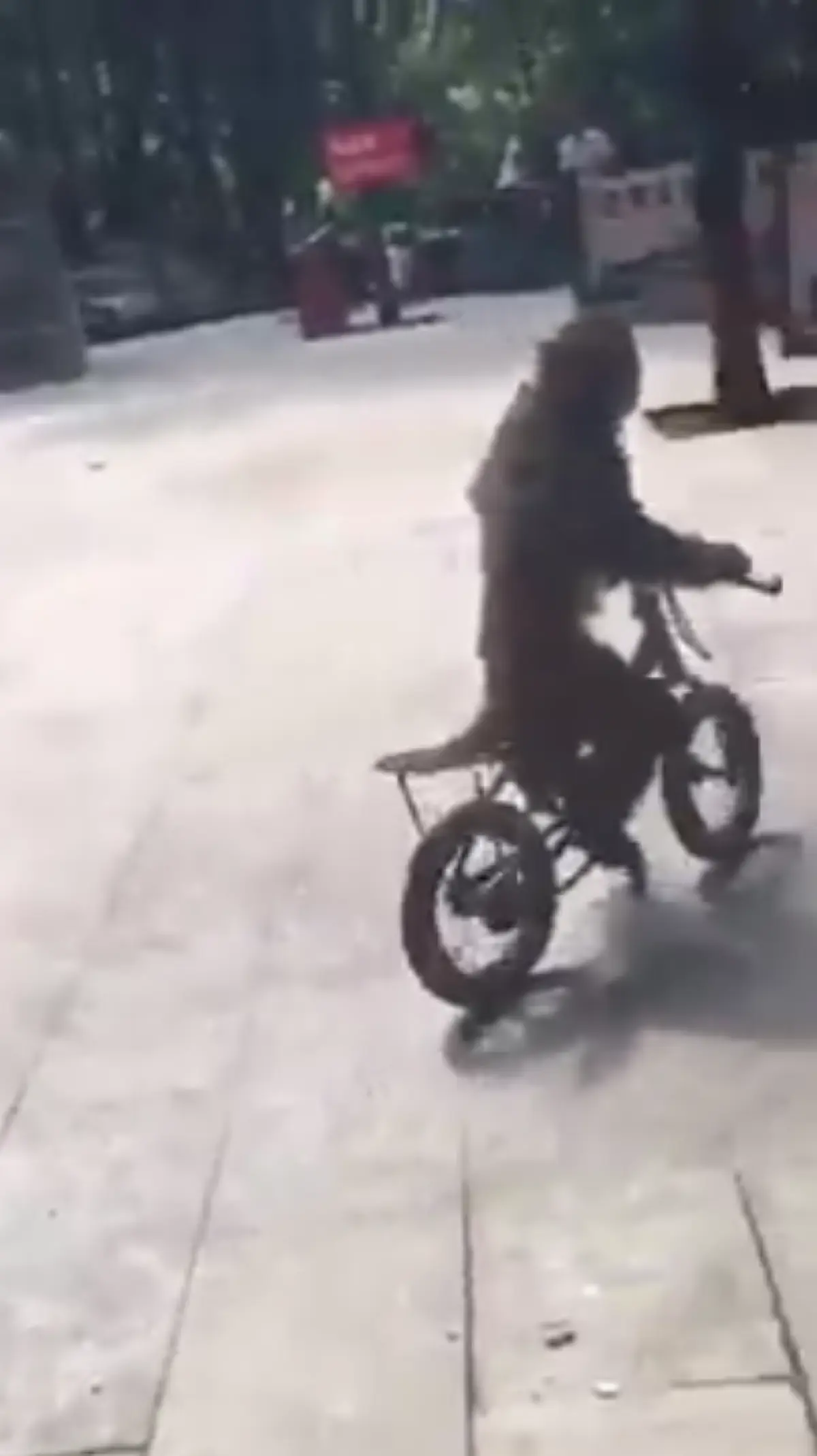 1 ร้อยคนยืนอึ้ง!! "ลิงน้อย" กำลังปั่นจักรยานอยู่ดีดี จู่ๆพุ่งไปชนต้นไม้ เท่านั้นล่ะ! มันแสดงปฏิกิริยาออกมา ผู้คนถึงกับขำกรามแทบค้าง!! (คลิป)