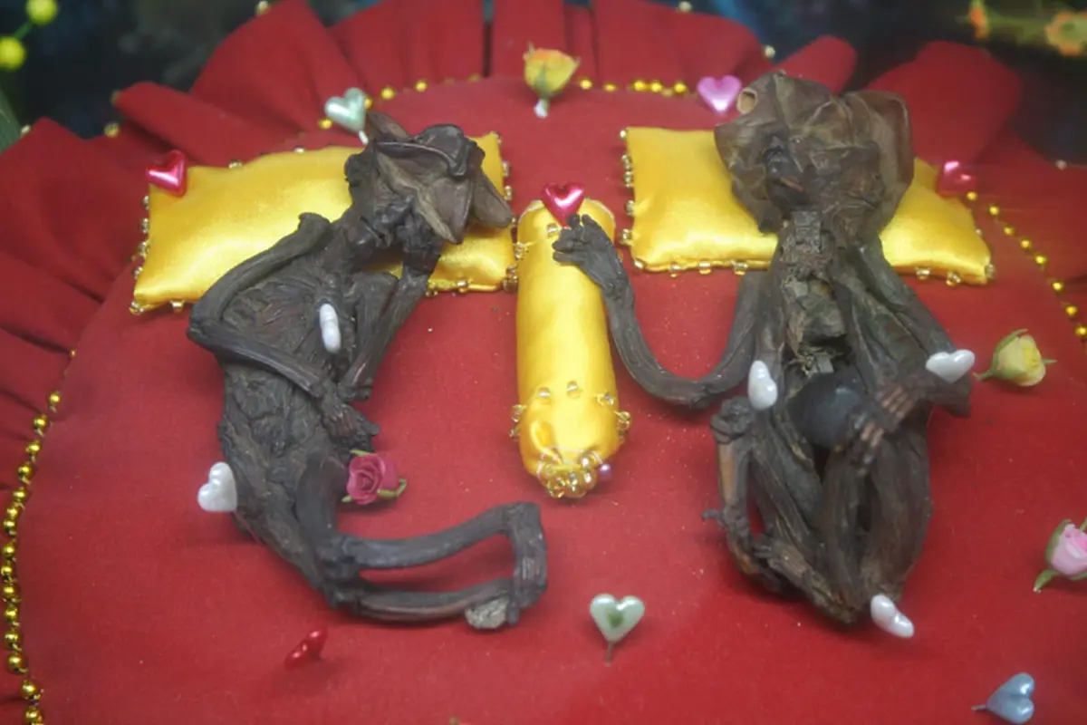 สิ่งที่อยากรู้..แต่ไม่เคยรู้ชัดๆ ...สิ่งนี้คืออะไร!!  ตามไปดู “มักกะลีผล” วัดพระปรางค์มุนี ความเร้นลับที่ยังเป็นปริศนา?!