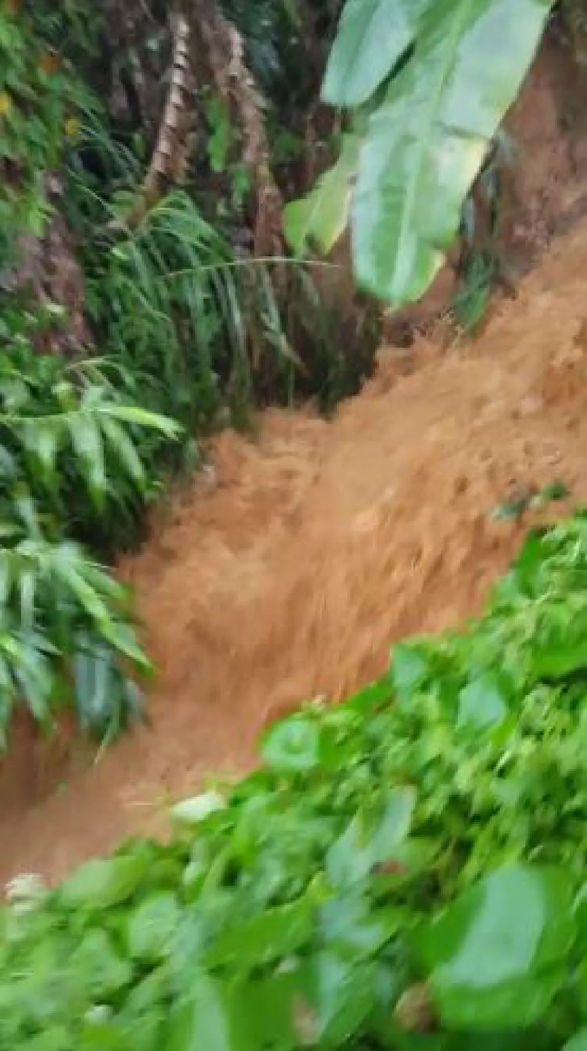 วินาทีน้ำป่าทะลัก !!! "ภูทับเบิก"ระทึกหนัก พิษฝนกระหน่ำต่อเนื่องในวันที่นักท่องเที่ยวหนาแน่น น้ำไหลบ่าท่วมเส้นทาง ! (มีคลิป)