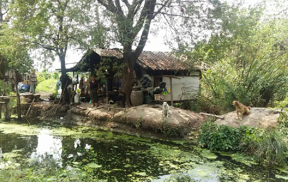 แม้มีไม่เท่าใครแต่ไม่เคยคิดขอทาน"ป้าพร"หญิงพิการสู้ชีวิตสุดใจบุญเลี้ยงดูสุนัขจรจัดอีก 7 ตัว 8 ชีวิตที่ต้องอดมื้อกินมื้อ วอนผู้ใจบุญช่วยเหลือ