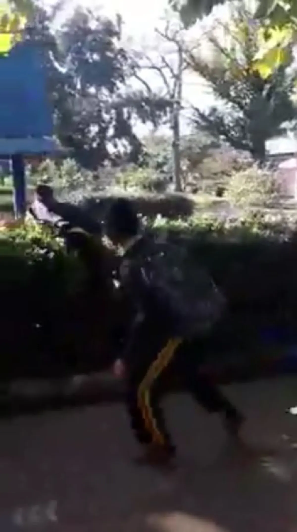 เคยเห็นต้นไม้กินคนมั้ย!? สองหนุ่มน้อย เดินอยู่ดีๆ พบ! ต้นไม้กินคน!? เล่นเอาเข่าทรุด ล้มทั้งยืน ตั้งตัวแทบไม่ทัน (คลิป)