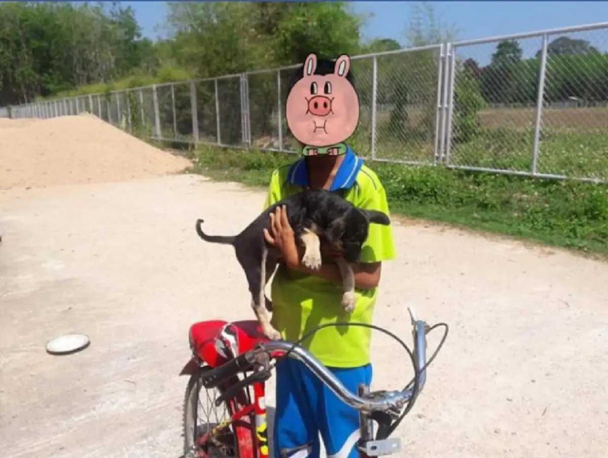 คนรักสัตว์ว่าไง?! "Set Zero" เริ่มแล้วปศุสัตว์วางยาเบื่อ "ฆ่าล้างบาง" กระทำต่อหน้าเยาวชนที่เมตตาช่วยกันเลี้ยงดูสุนัข นครศรีธรรมราชที่แรก!!