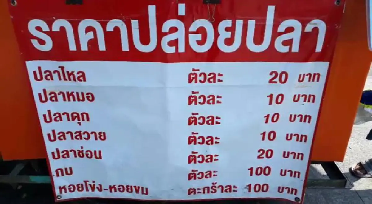 บุญเยอะมาก!! นักท่องเที่ยวเข้าไหว้พระวัดดังอยากทำบุญปล่อยปลาจึงแวะร้านหน้าวัดแต่แทบช็อค 15 ตัว เฉียดพันบาท ชาวเน็ตชี้วัดนี้มีอีกหลายเรื่อง