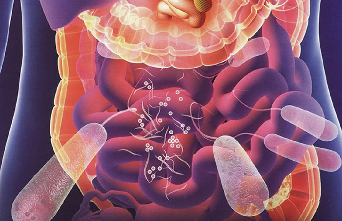 อันตราย!!! สสส.ย้ำ ปวดท้องใต้ซี่โครงขวา เสี่ยงอันตราย อย่าประมาท!!!