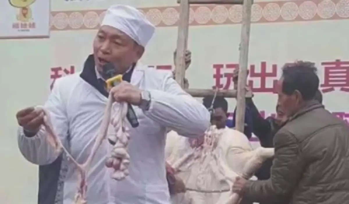 บทเรียนกลิ่นคาวเลือด!!! จีนมอบบทเรียนสยอง ให้เด็กอนุบาลดูการชำแหละหมู!!! (มีคลิป)