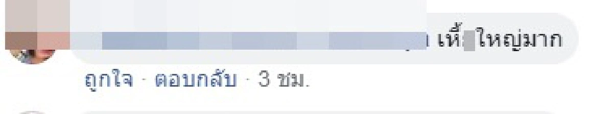 ป๊าดดด...นึกว่าไอ้เข้ นักศึกษาถึงผงะ! เจอตัวเงินตัวทองไซส์บิ๊ก เดินต้วมเตี้ยมในมหาลัย (คลิป)