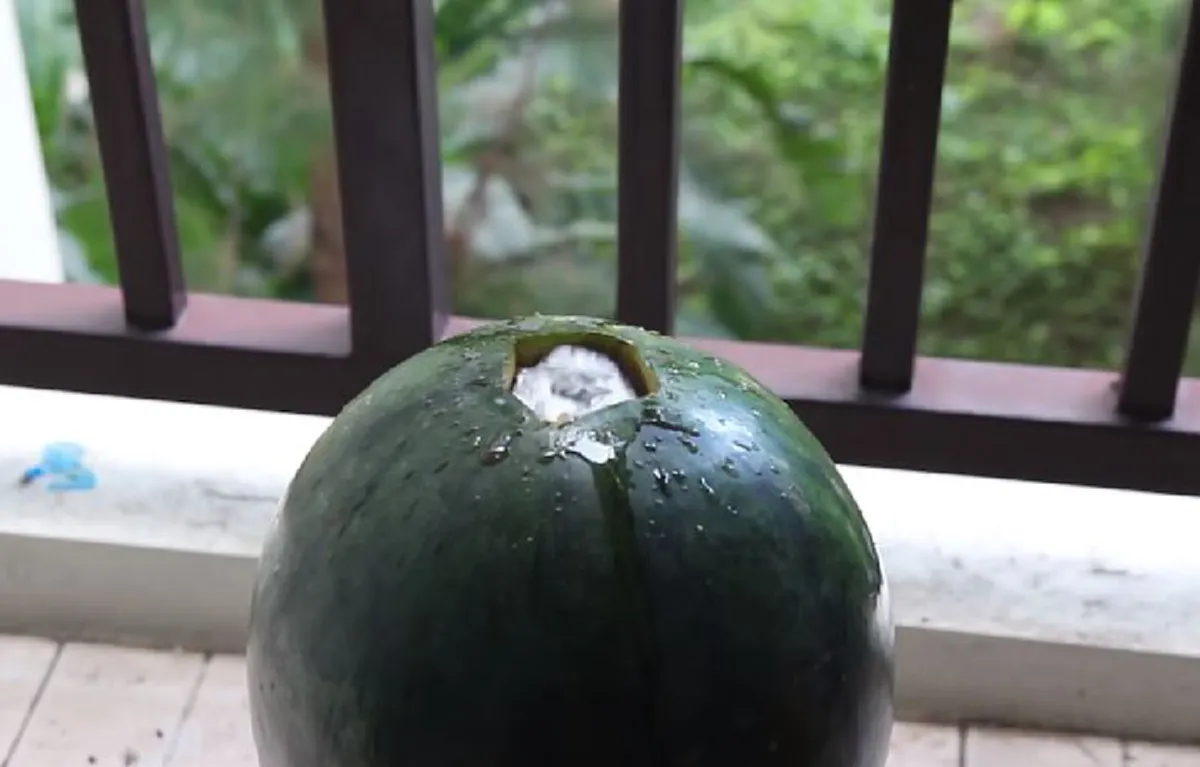 จะเกิดอะไรขึ้น !? เมื่อเอา "อลูมิเนียมหลอมละลาย" เทใส่ "แตงโมลูกใหญ่ๆ" ผลที่ออกมาลองมาดูกัน (ชมคลิป)