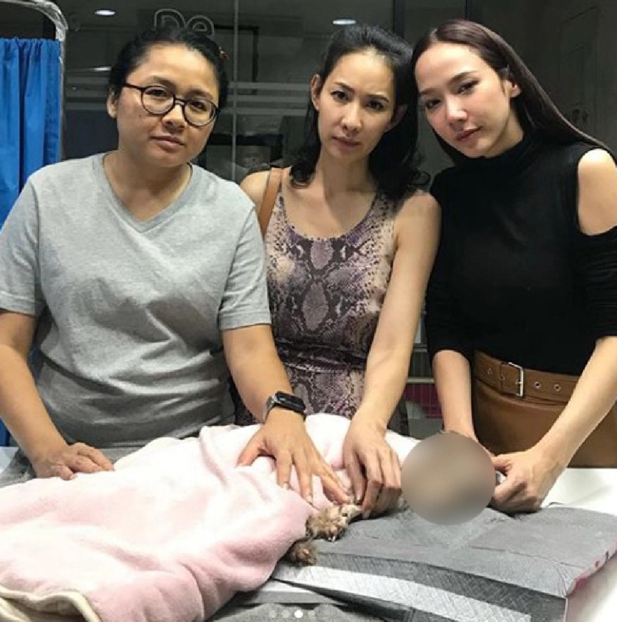 อั้ม พัชราภา ร้องไห้หนัก สูญเสียน้องหมาสุดที่รัก