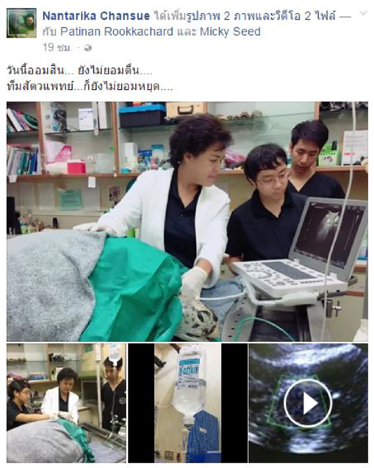 ด่วนที่สุด!!! ทีมแพทย์แถลง "เต่าออมสิน" ไปสบายแล้ว ผลการรักษาสุดทรมาน เพราะฝีมือคนมักง่าย รักสนุก (รายละเอียด)